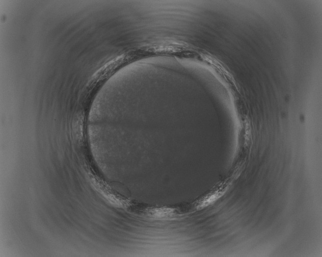 X0000081360501200702020143