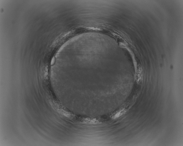 X0000081360502200702020143