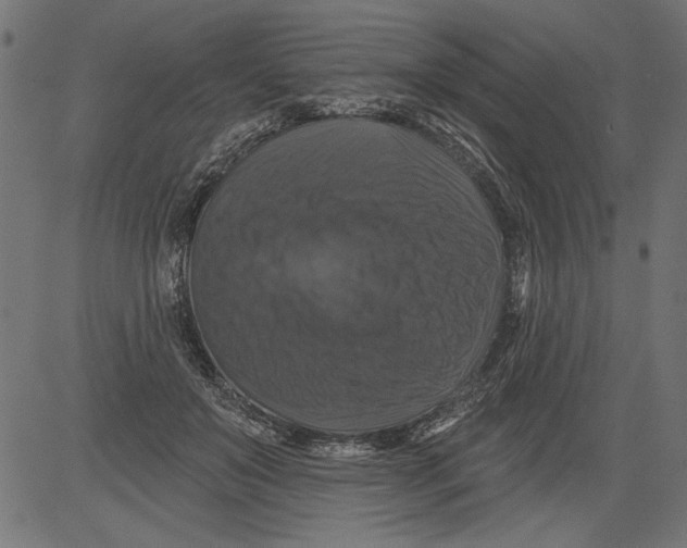 X0000081360503200702020143