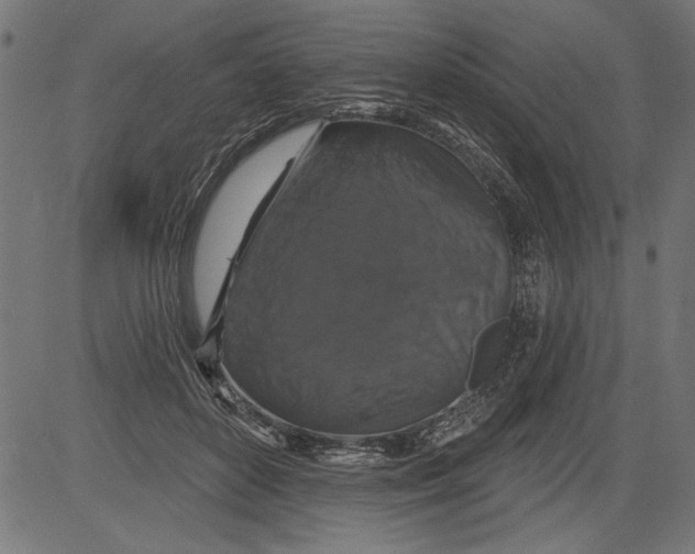 X0000081360504200702020143