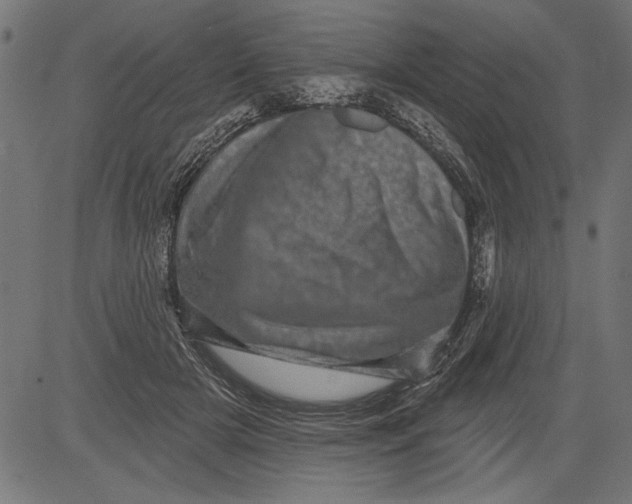 X0000081360505200702020143