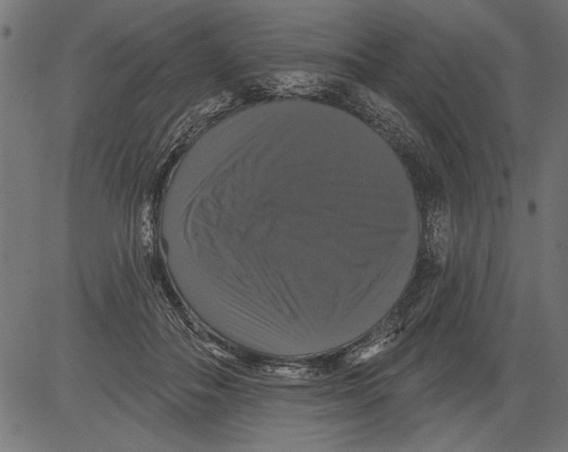 X0000081360506200702020143