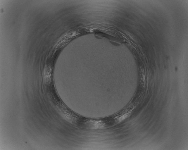 X0000081360507200702020143