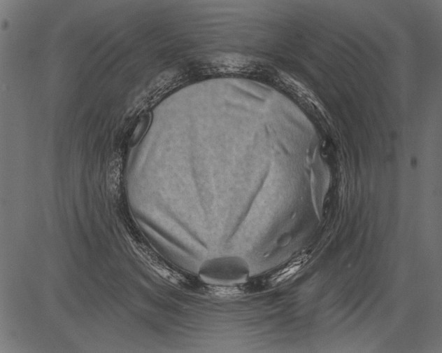 X0000081360509200702020143