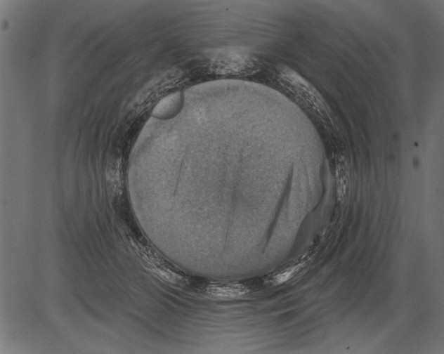 X0000081360510200702020143