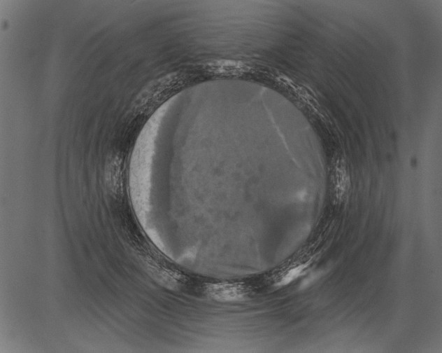 X0000081360511200702020143