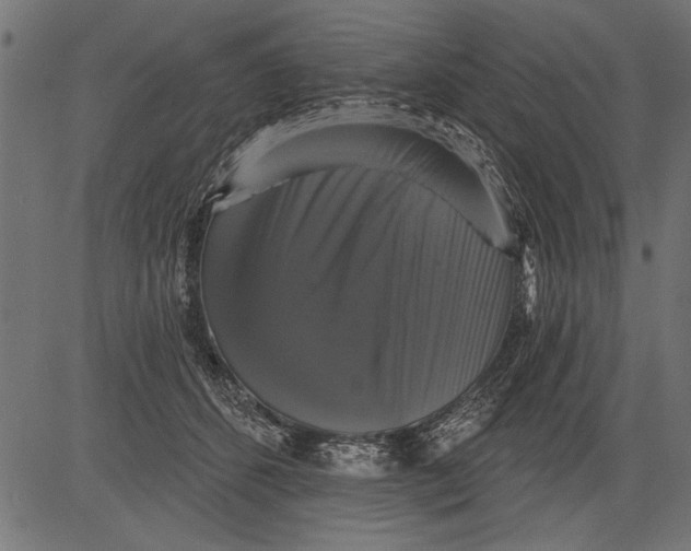 X0000081360512200702020143