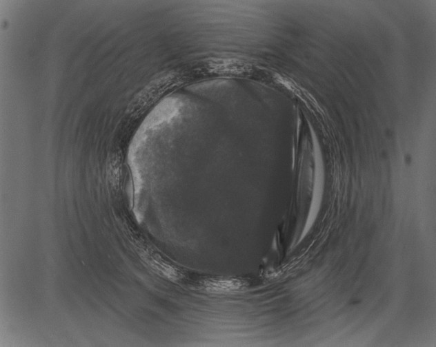 X0000081360513200702020143