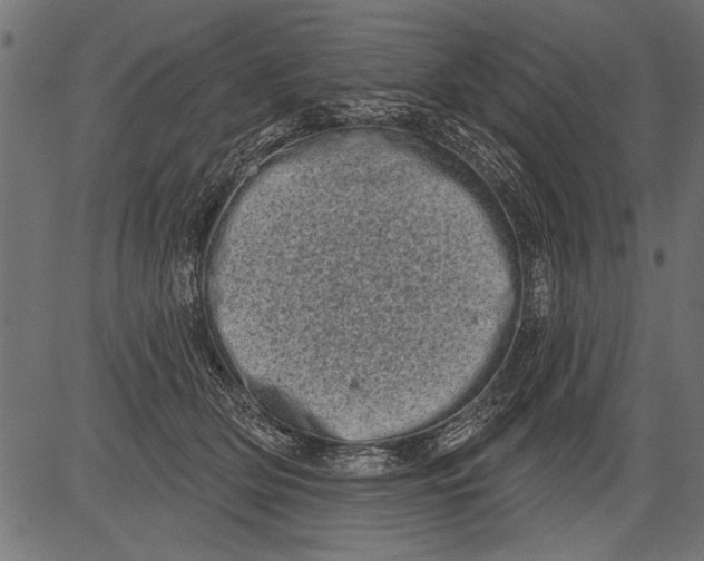 X0000081360514200702020143