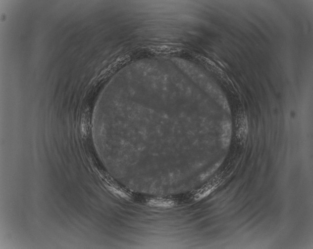 X0000081360515200702020143