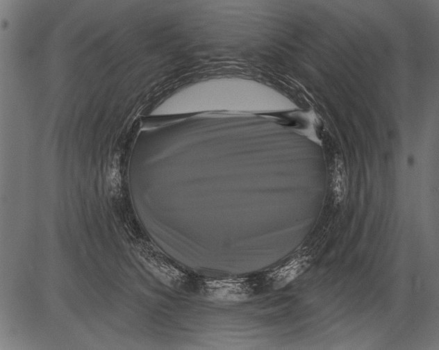 X0000081360516200702020143