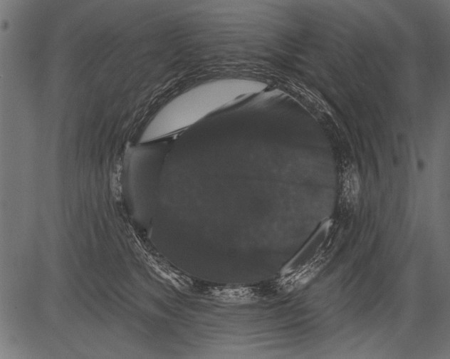 X0000081360517200702020143