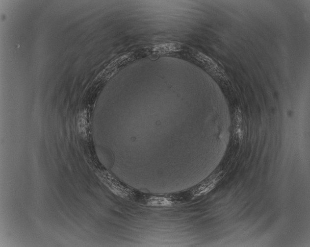 X0000081360519200702020143