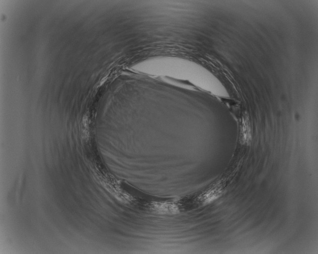 X0000081360520200702020143