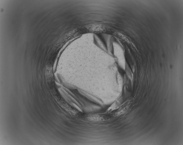 X0000081360521200702020143