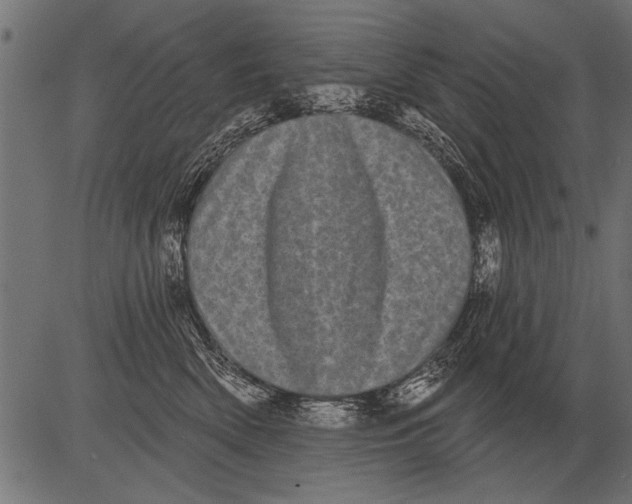 X0000081360522200702020143