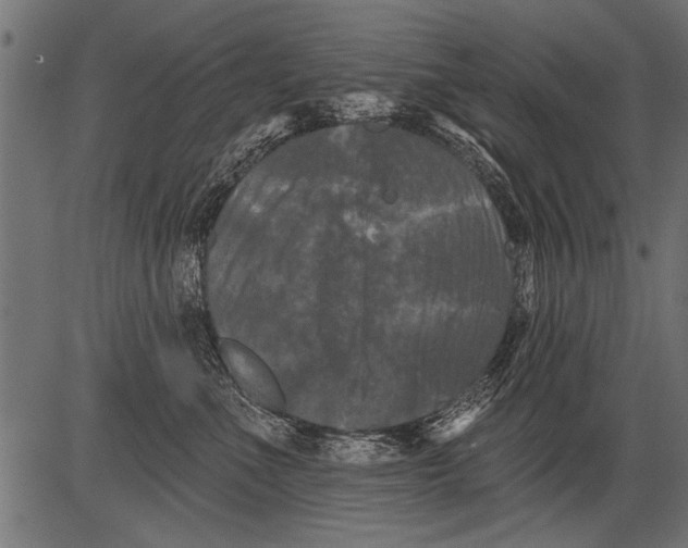 X0000081360523200702020143