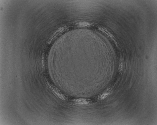 X0000081360524200702020143