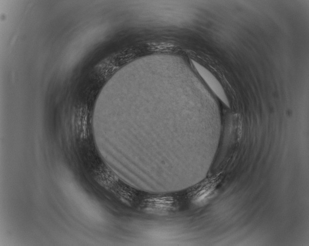 X0000081360525200702020143