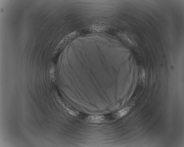 X0000081360526200702020143