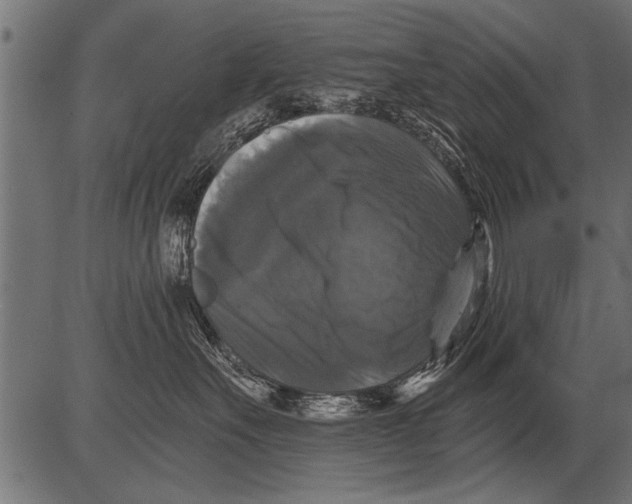 X0000081360527200702020143