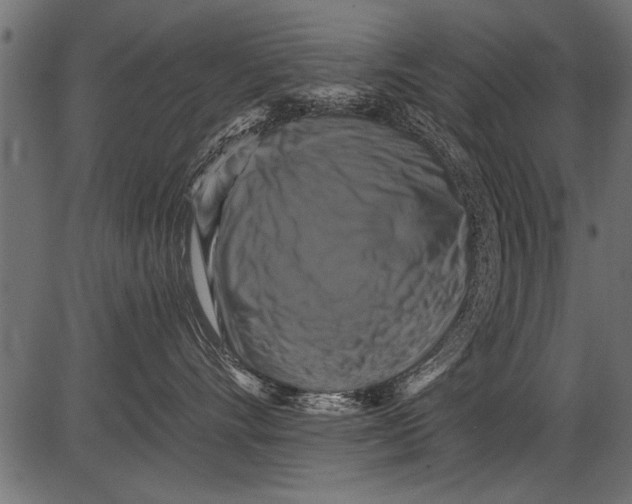 X0000081360528200702020143