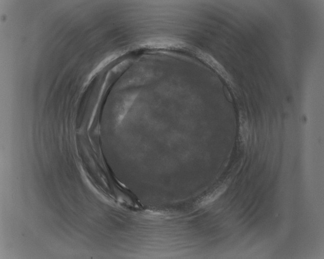 X0000081360530200702020142