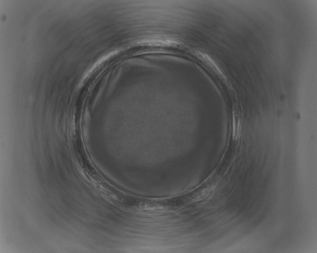 X0000081360531200702020142