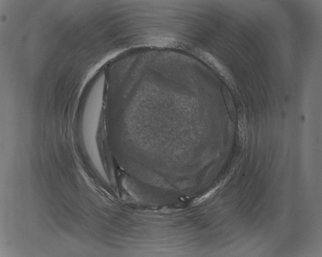 X0000081360532200702020142