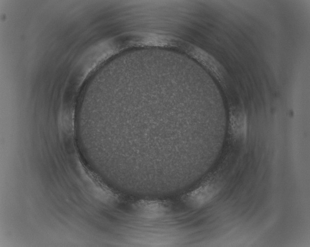 X0000081360534200702020142