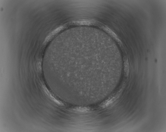 X0000081360537200702020142