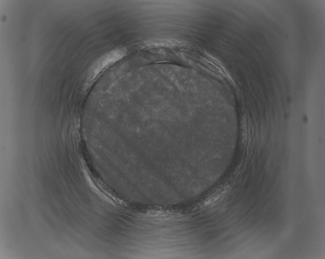 X0000081360538200702020142