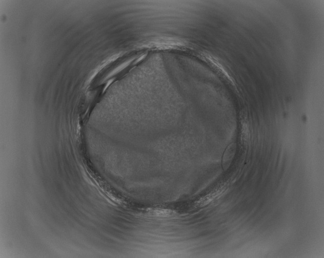 X0000081360539200702020142