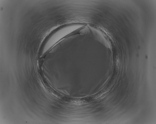 X0000081360540200702020142