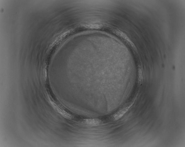 X0000081360541200702020142