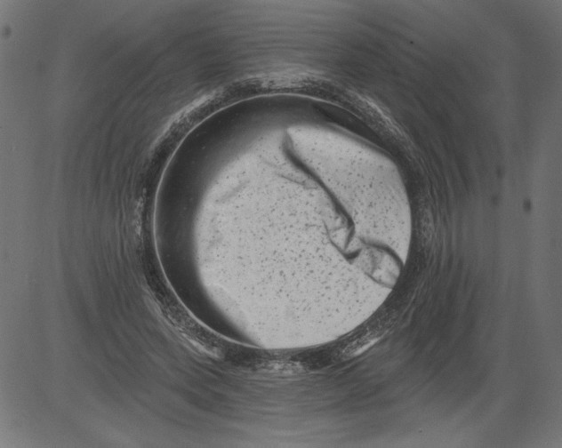 X0000081360543200702020142