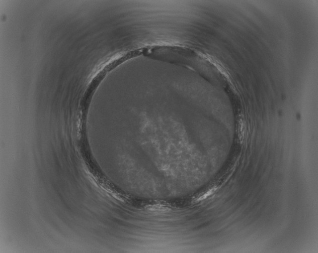 X0000081360544200702020142