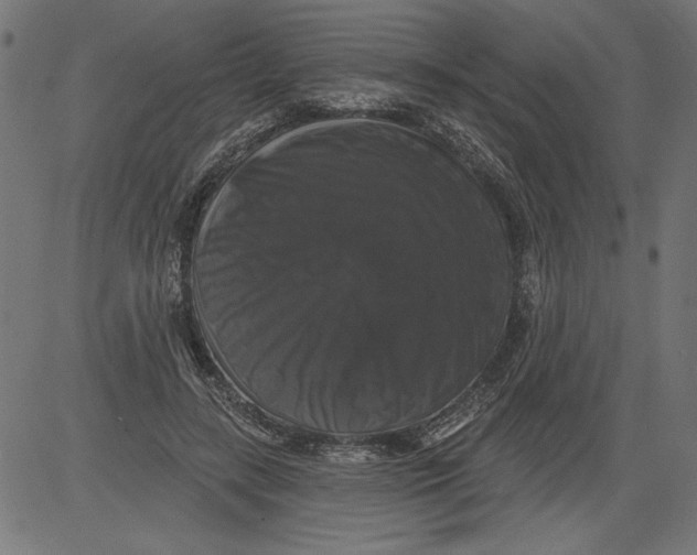 X0000081360547200702020143