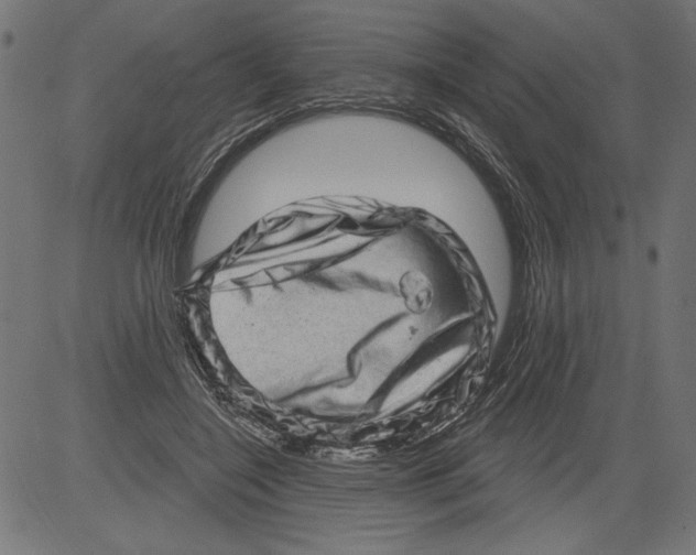 X0000081360548200702020143