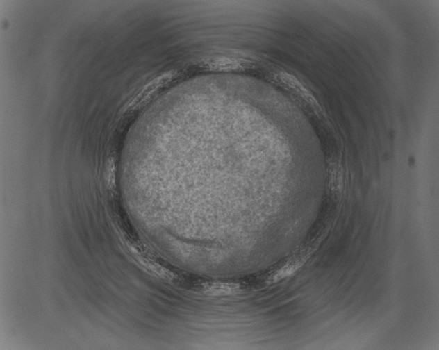 X0000081360549200702020143