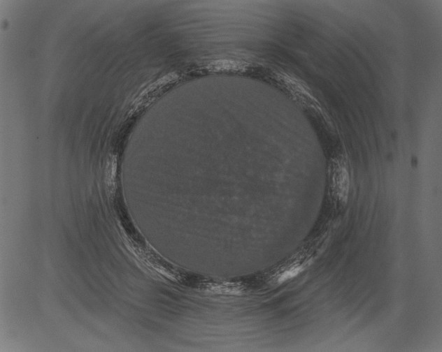 X0000081360550200702020143