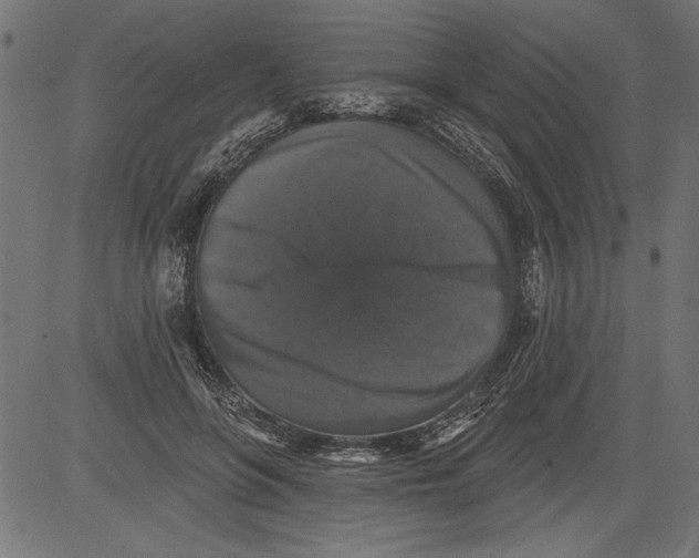 X0000081360551200702020143