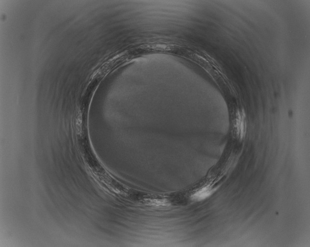 X0000081360552200702020143