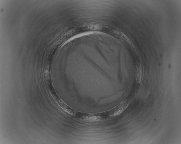 X0000081360553200702020143