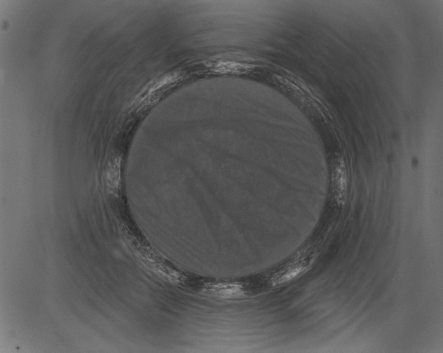 X0000081360554200702020143