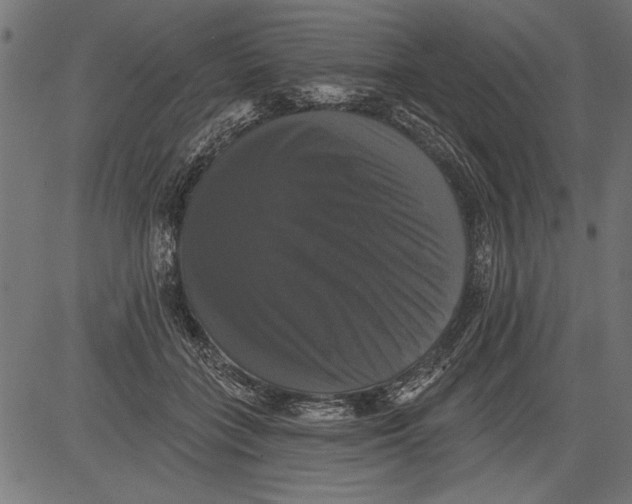 X0000081360555200702020143