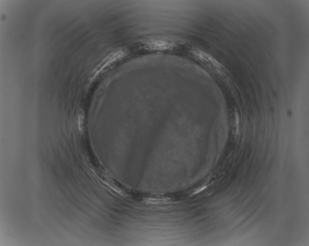 X0000081360556200702020143