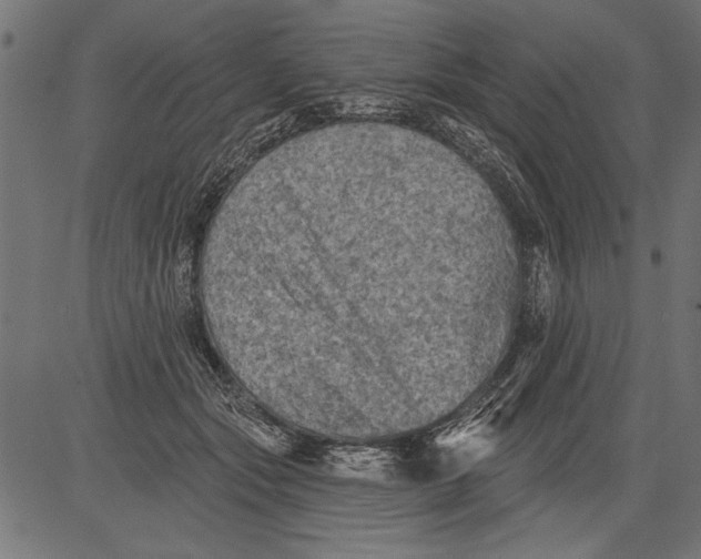 X0000081360557200702020143