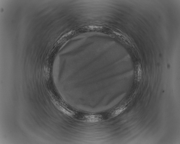 X0000081360558200702020143