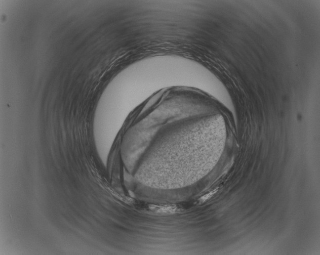 X0000081360559200702020143